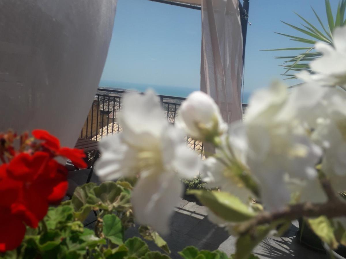 Tesori Di Girgenti Panzió Agrigento Kültér fotó