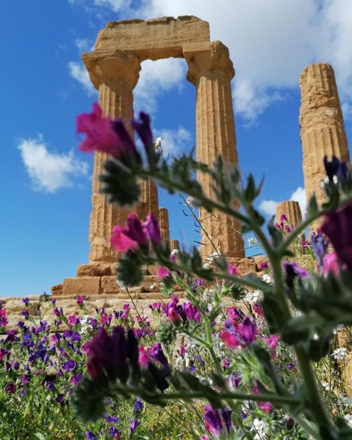 Tesori Di Girgenti Panzió Agrigento Kültér fotó